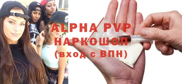 гашик Ладушкин